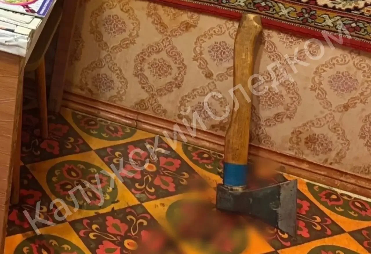 Пенсионер из Калужской области зарубил топором спящего сына из-за того, что тот не хоте...