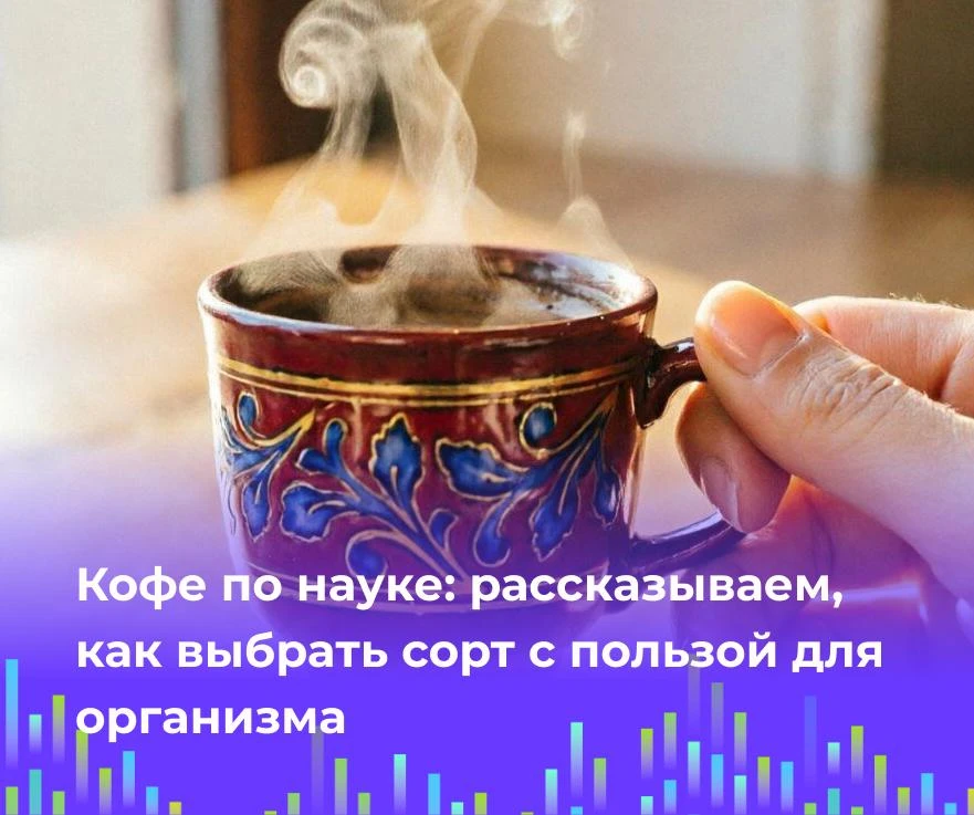☕ Кофе по науке: рассказываем, как выбрать сорт с пользой для организма