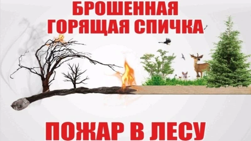 По всей стране стартовала ежегодная Федеральная информационная противопожарная кампания...
