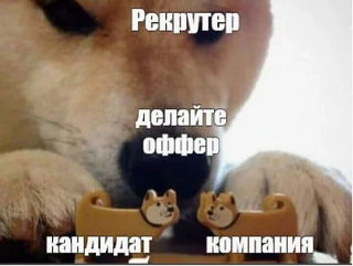 В Госдуму внесён проект поправок в Федеральный закон «О занятости населения» (№ 565-ФЗ).