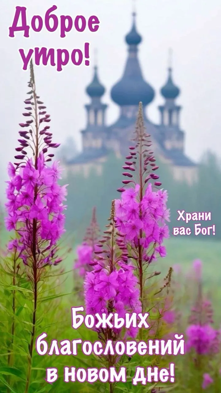 🙏Божьей помощи во всех ваших добрых делах! Храни Вас Господь! 💖