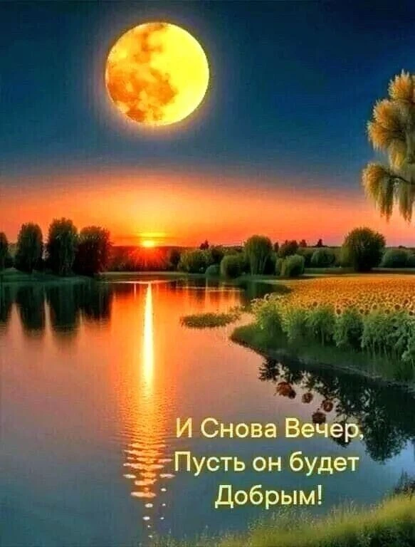 Спокойной ночи.