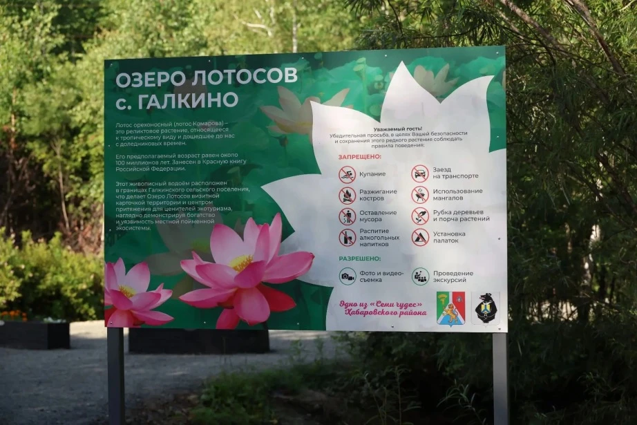 🪷Излюбленное место отдыха жителей и гостей края благоустроили по поручению Дмитрия Демешина

Благоу