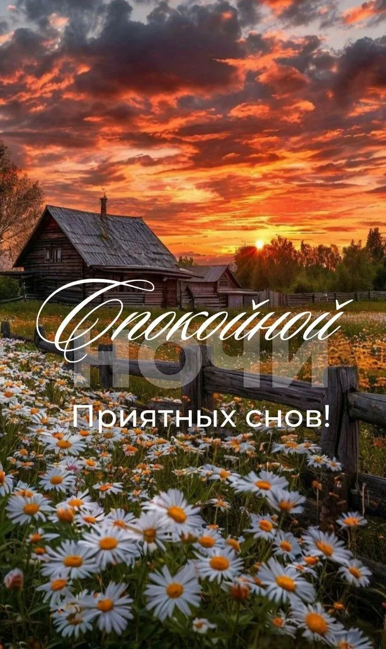 Подпишись 👇
Твои открытки • Открытки • Доброе утро • С днём рождения • Спокойной ночи