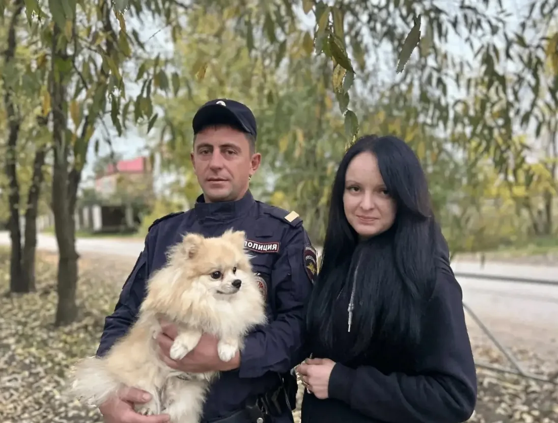 🐶 Полицейский спас шпица Винсента от овчарки в Великих Луках