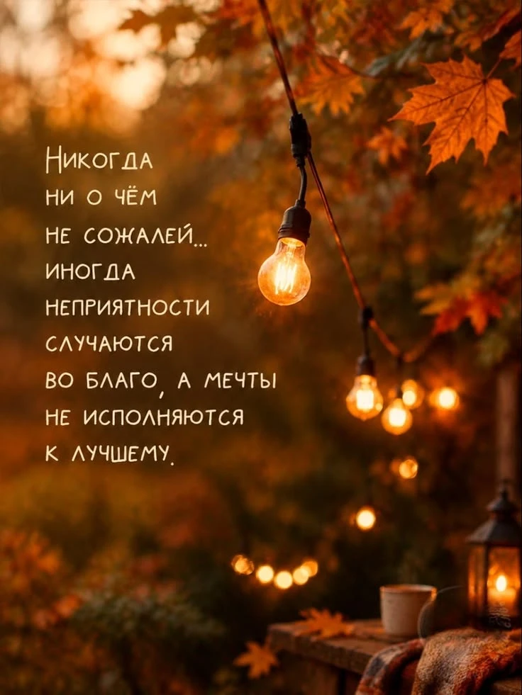 https://max.ru/se13912156_biz