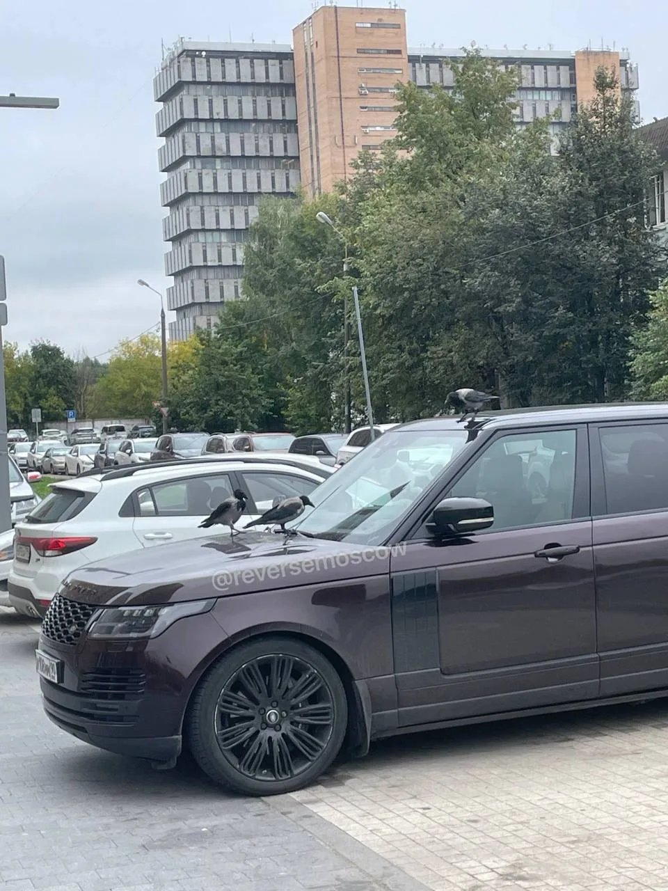 🥚 В ЖК "Малая Очаковская" кто-то закидывают яйцами двор, проходящих соседей и припарко...