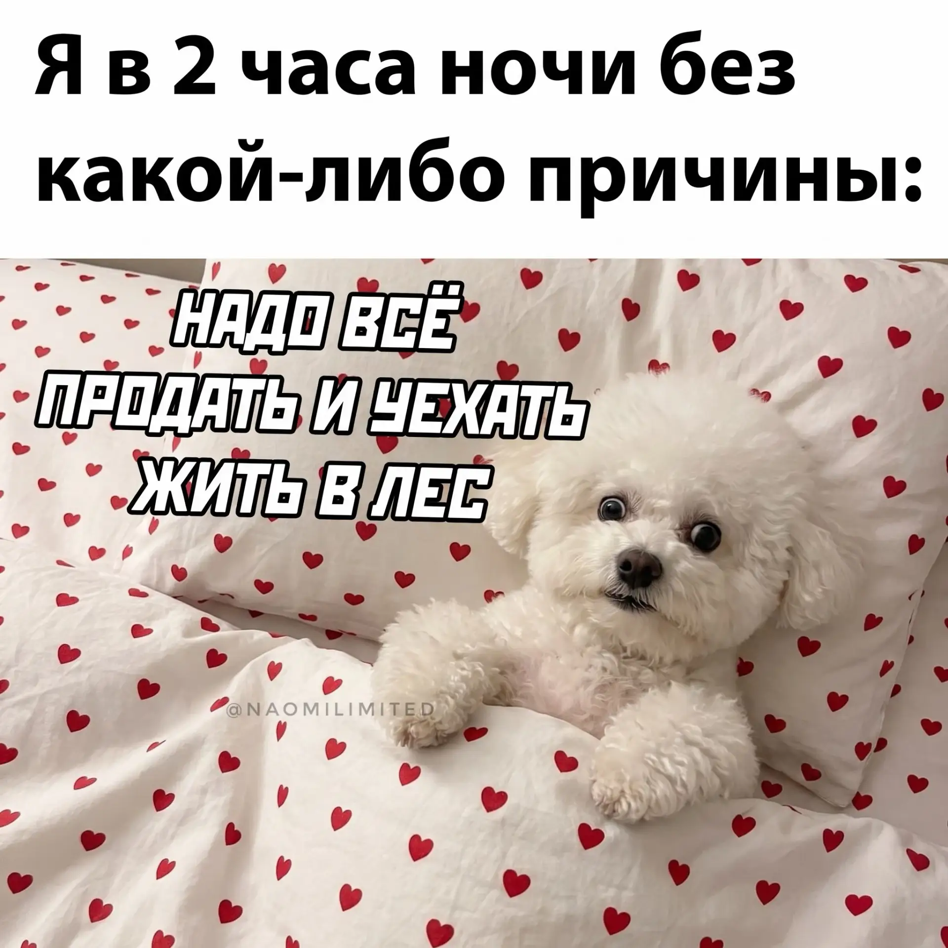 Спишь?