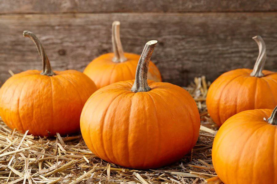 Тыква — кладезь витаминов! 🎃