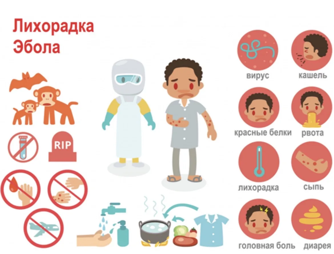 Геморрагическая лихорадка Эбола — это острое вирусное заболевание, характеризующееся крайне высоким 