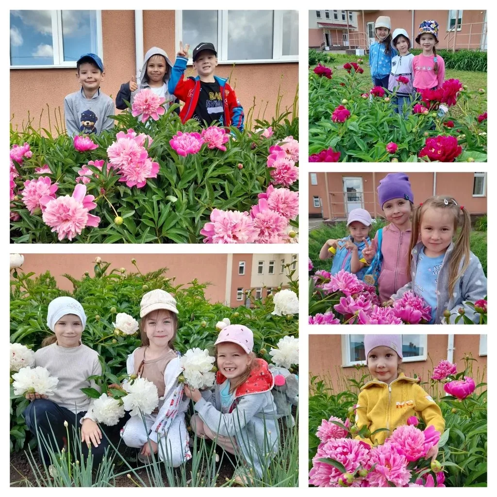 3 июня - Праздник пионов: красота и гармония в каждом лепестке.