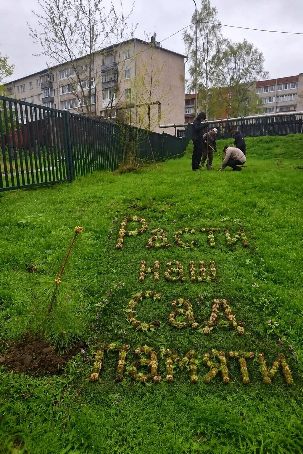 🌳 Ежегодная акция «Сад памяти»: живая память поколений! 💚

Эта эколого-патриотическая инициатива п