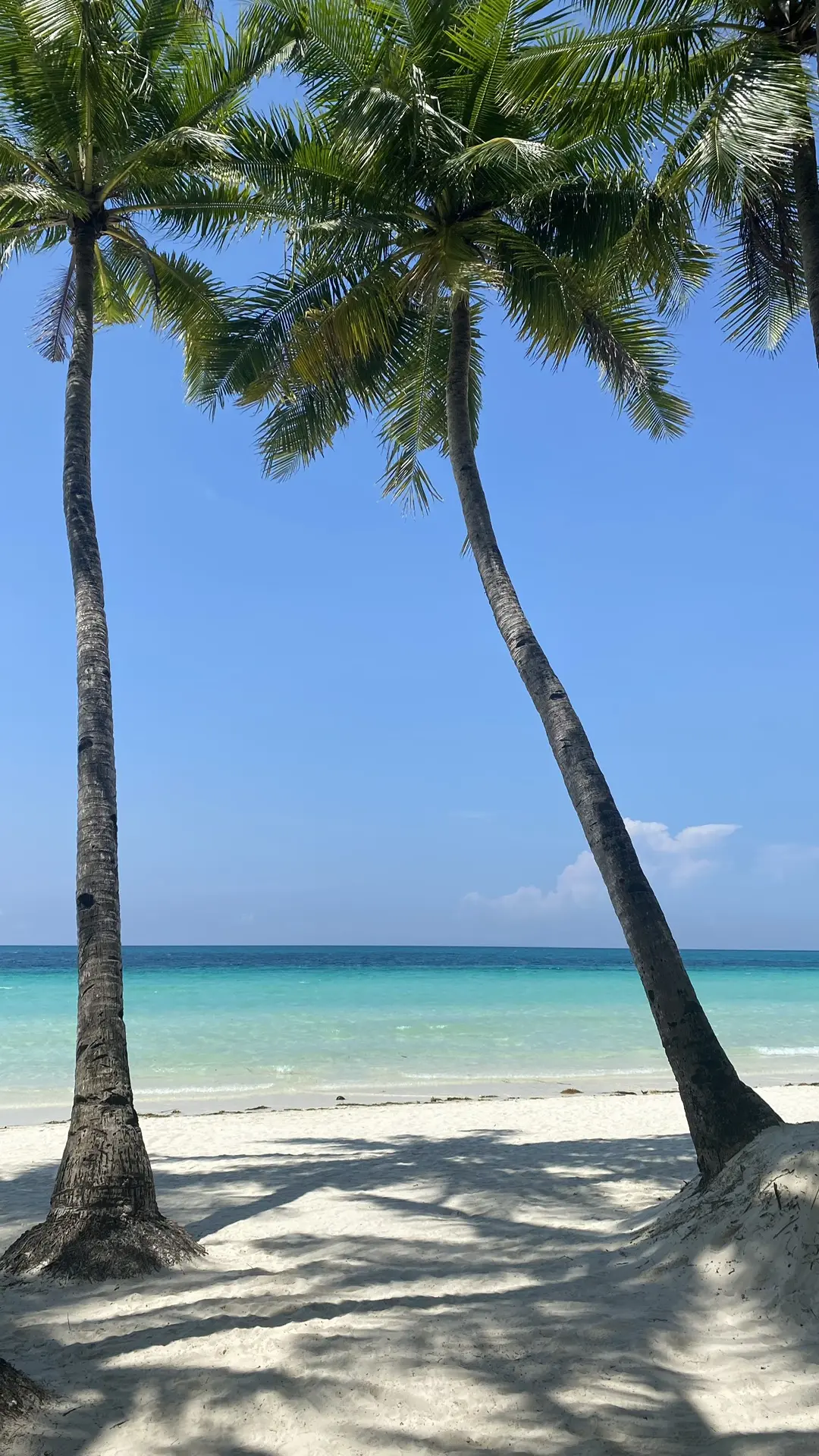 Новогодние каникулы в крутом путешествии 🤩

Гонконг 🇭🇰 -  Филиппины 🇵🇭 с  отдыхом на острове Бо