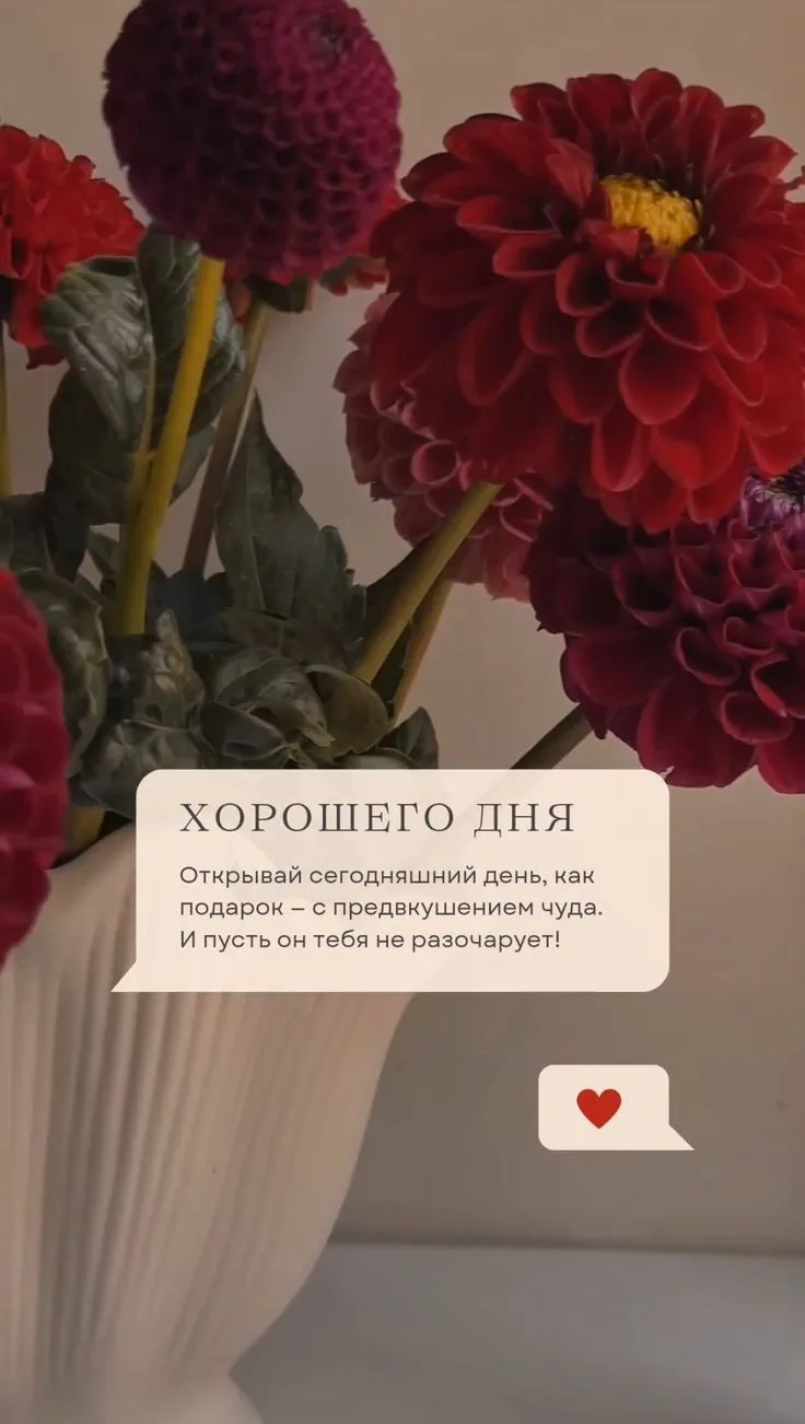 Ваша команда "Баллон де Флёр" ❤️