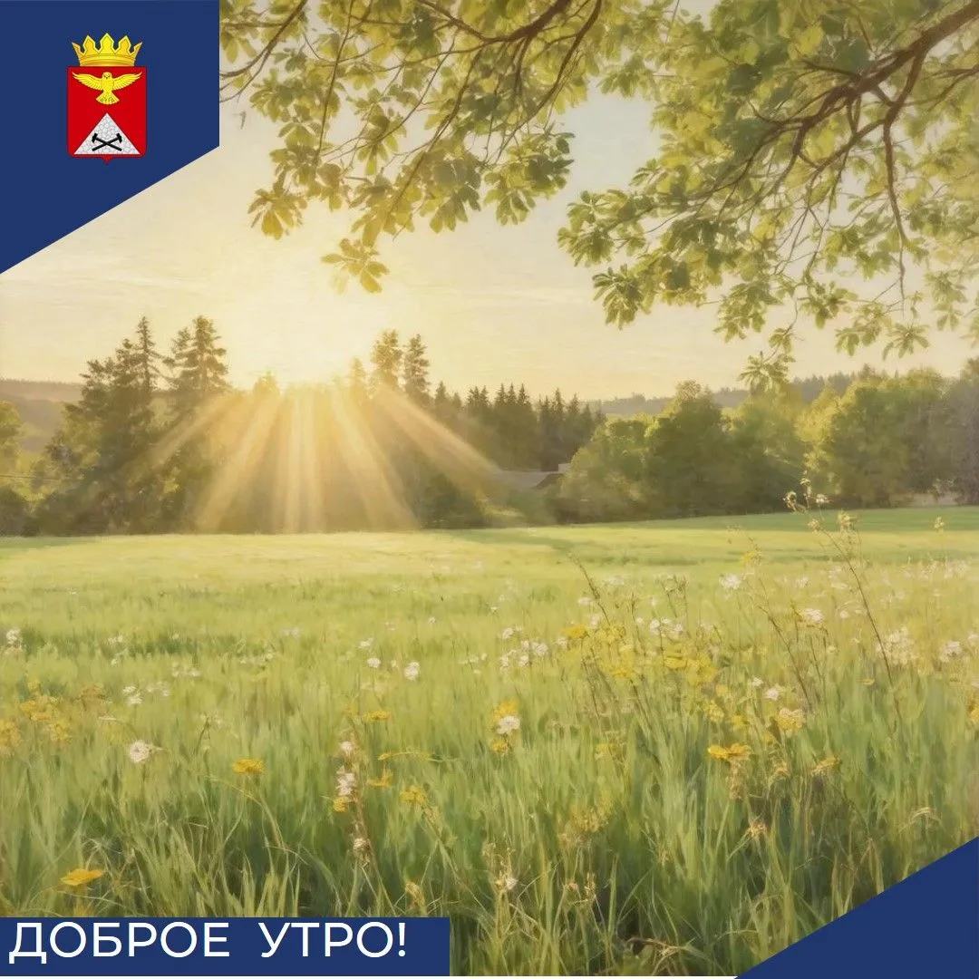 Доброе утро, Юргамышский округ! ☀️🌿+18 в тени, небо чистое, ни облачка — лето продолжает радовать н