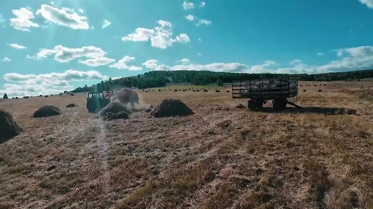 Хәйерле иртә, беҙҙең хөрмәтле УчалыТВ телеканалын ҡараусылар!