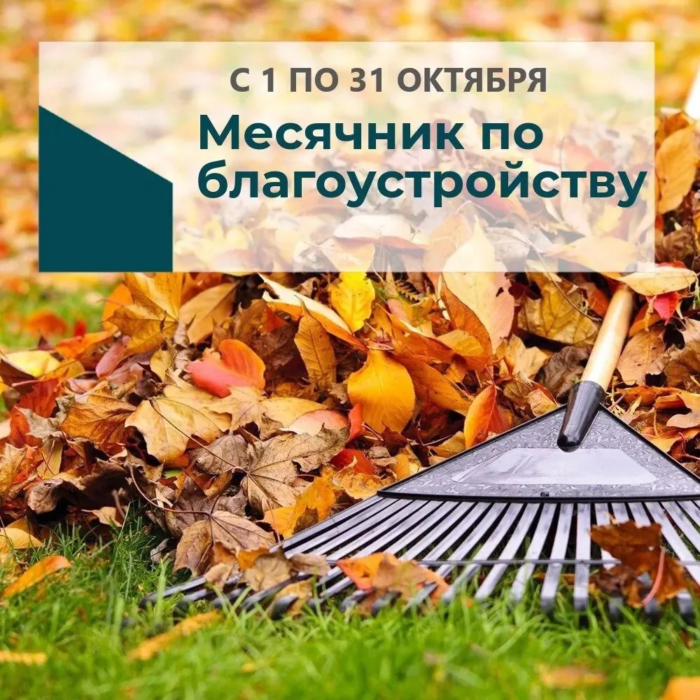 Уважаемые жители Краснознаменского муниципального образования!