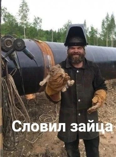 Когда на смене словил зайца