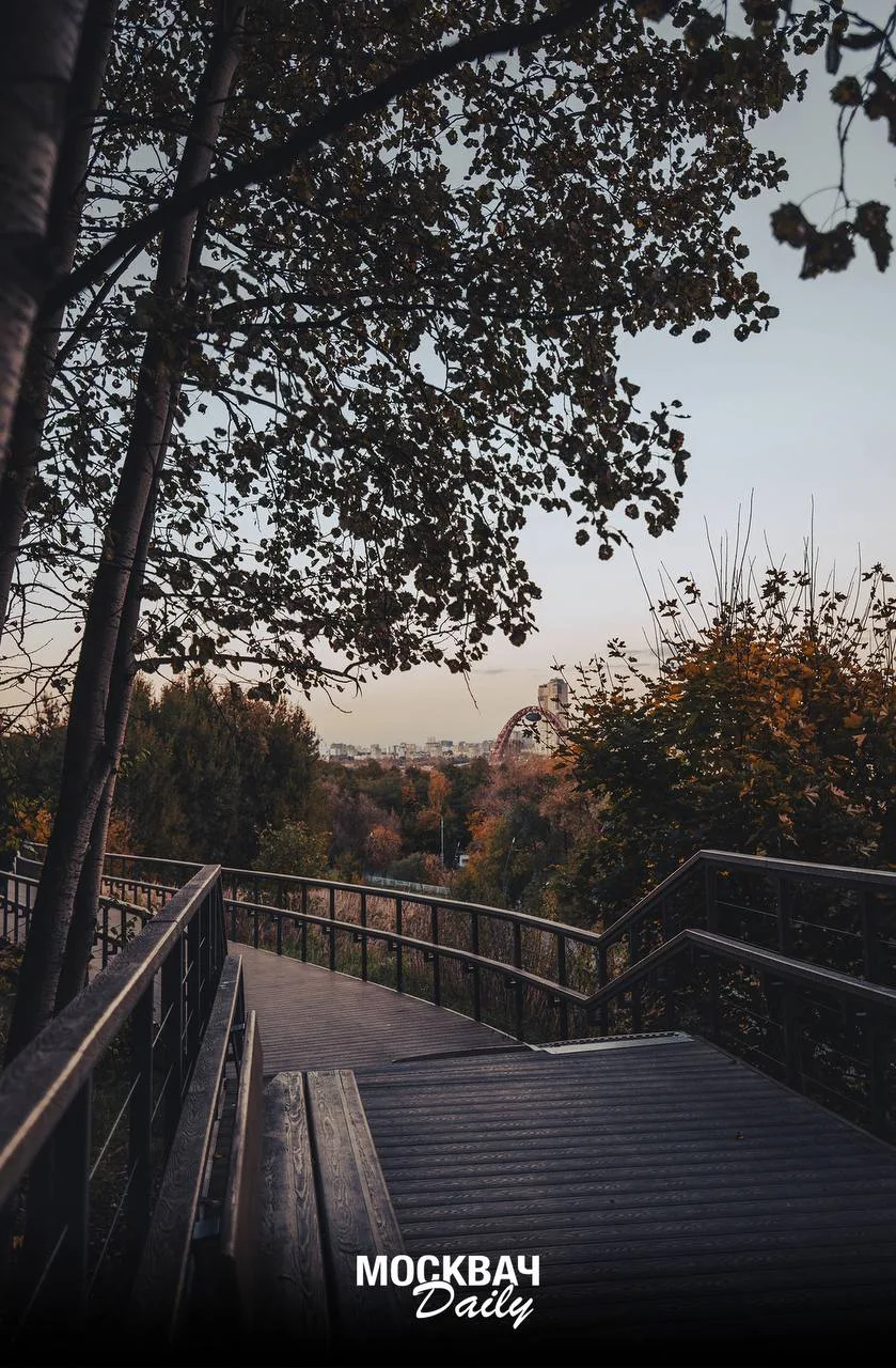 🍂 Шесть мест в Москве для осеннего свидания