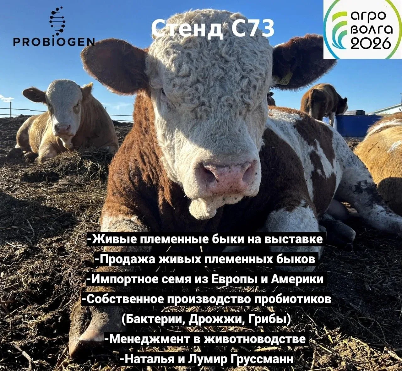 👐Приглашаем на "Агроволгу-2026"!