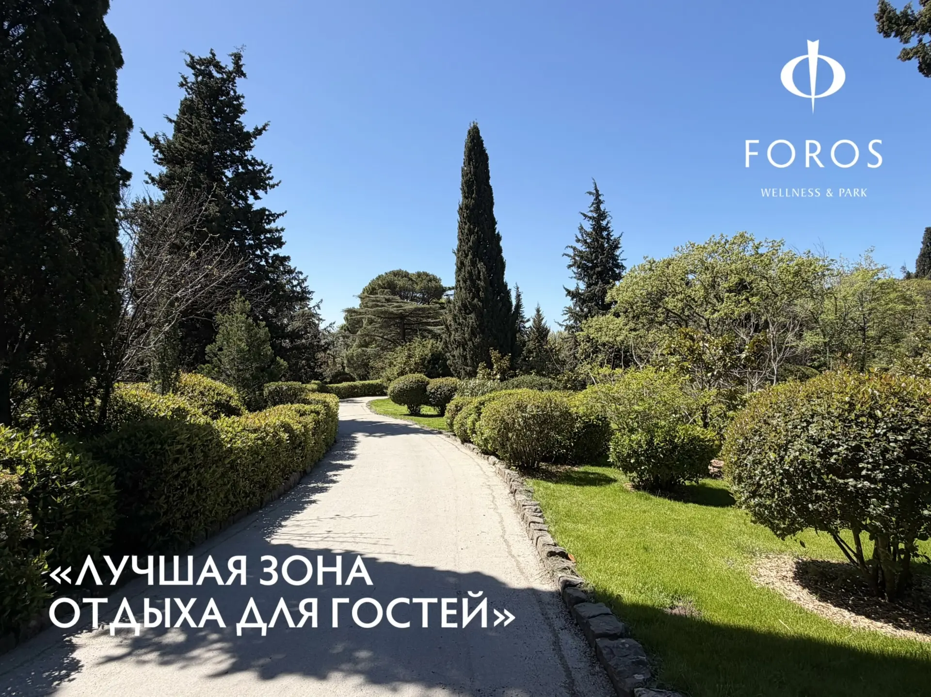 🏆 Мы это сделали. Победили!