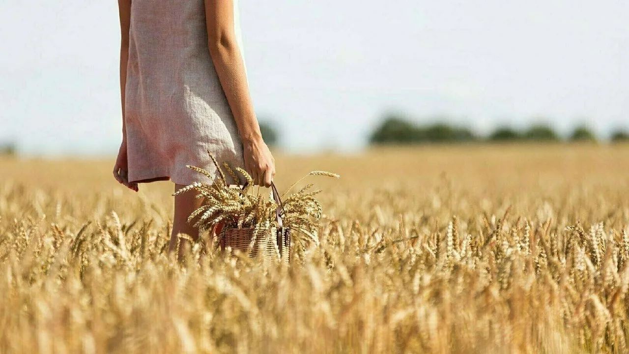 🥖 «Корни», угощения и пушистые гости: в субботу, 20 июня,  в Калининграде отпразднуют День хлеба и 