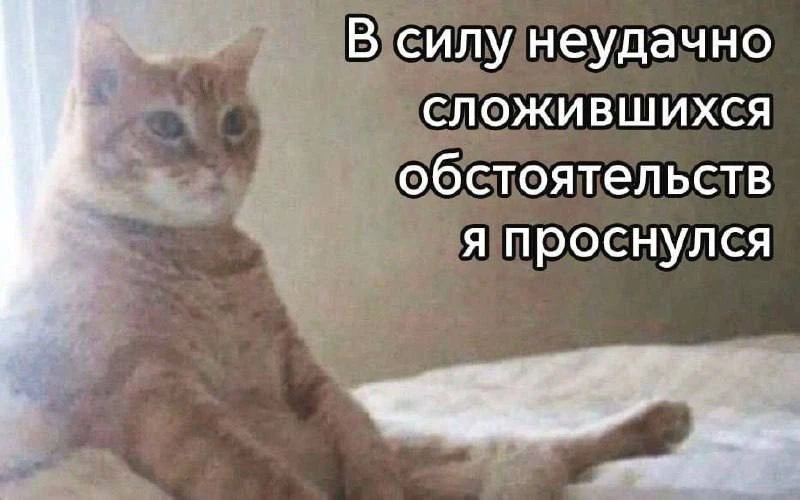 МЕМАСНАЯ
