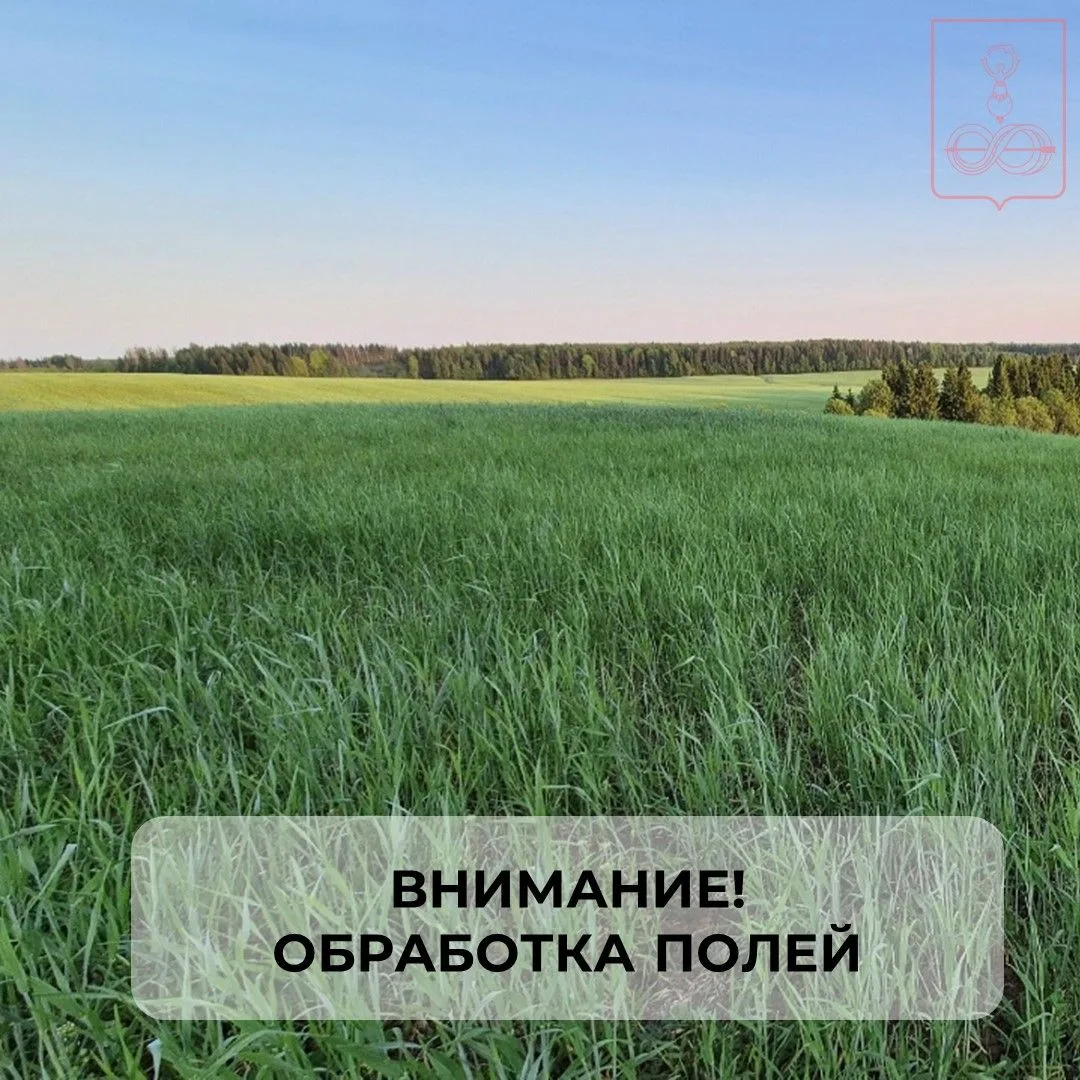 Внимание!