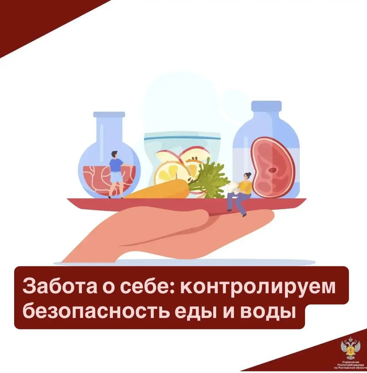 Правила хранения и обработки продуктов, советы по качеству питьевой воды