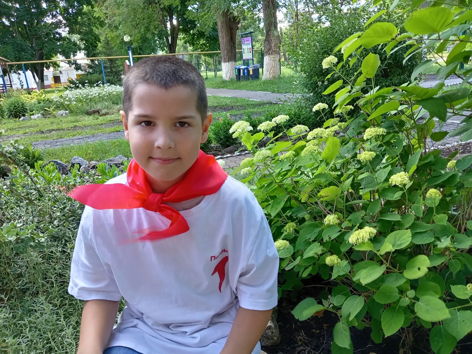 🌿ЦИФРОВОЙ ГЕРБАРИЙ🌿

🍀Гортензия древовидная - вид растений семейства Гортензиевые. Родина растени