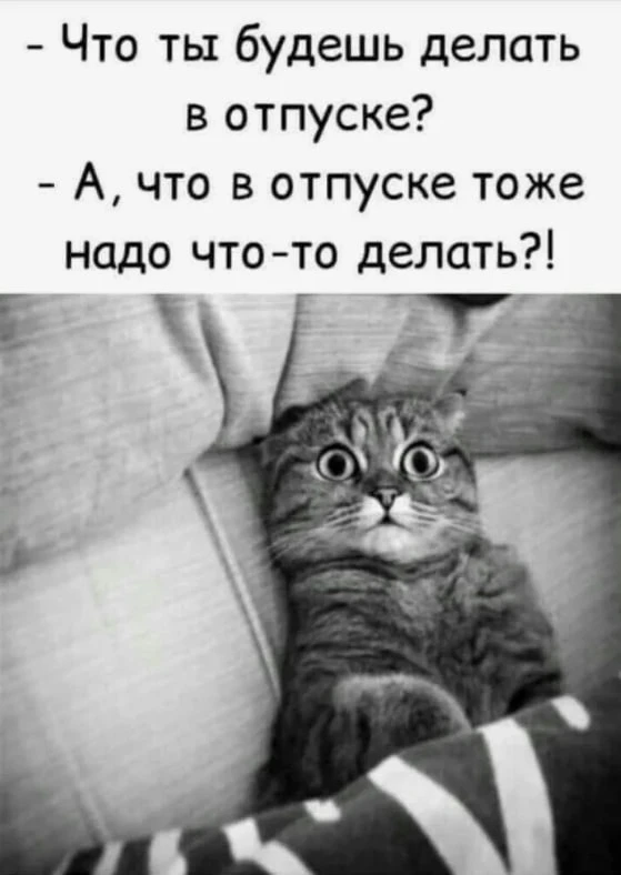 Как у вас дела с отпуском?