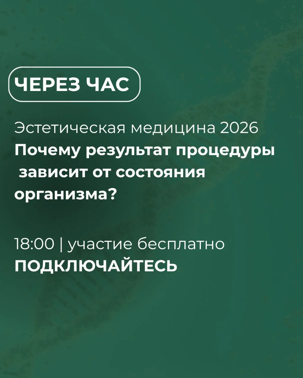⏰ НАЧИНАЕМ ЧЕРЕЗ ЧАС