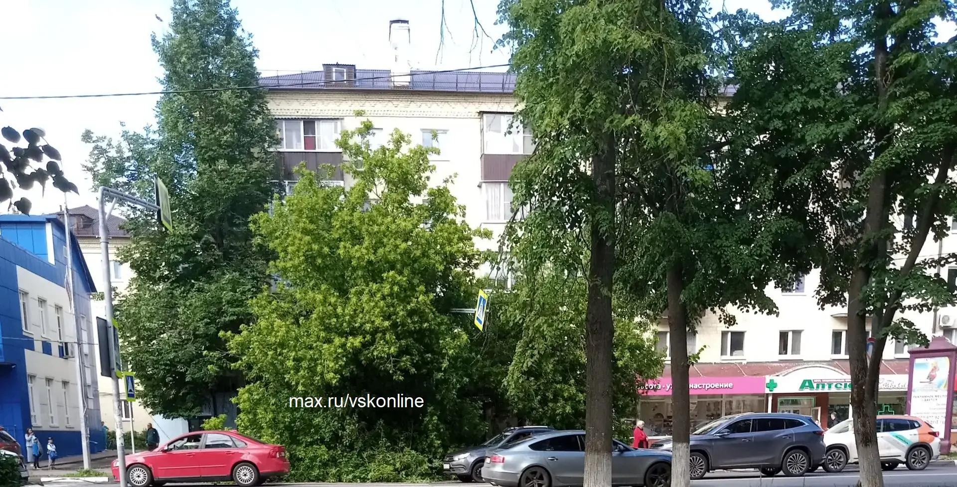 На автобусную остановку с людьми в Воскресенске упало огромное дерево.