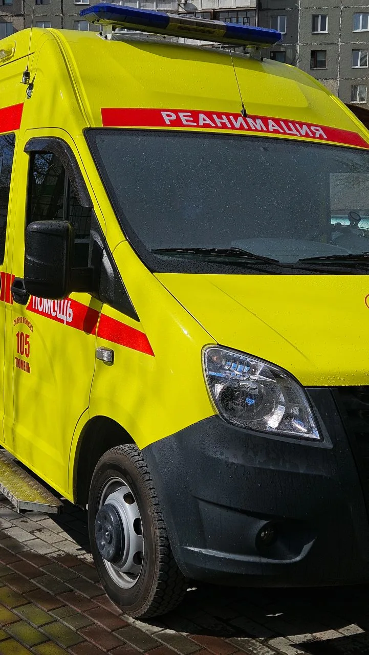 Газонокосилка, невнимательность, скорая: бзопасность для дачников 🚑⚘️