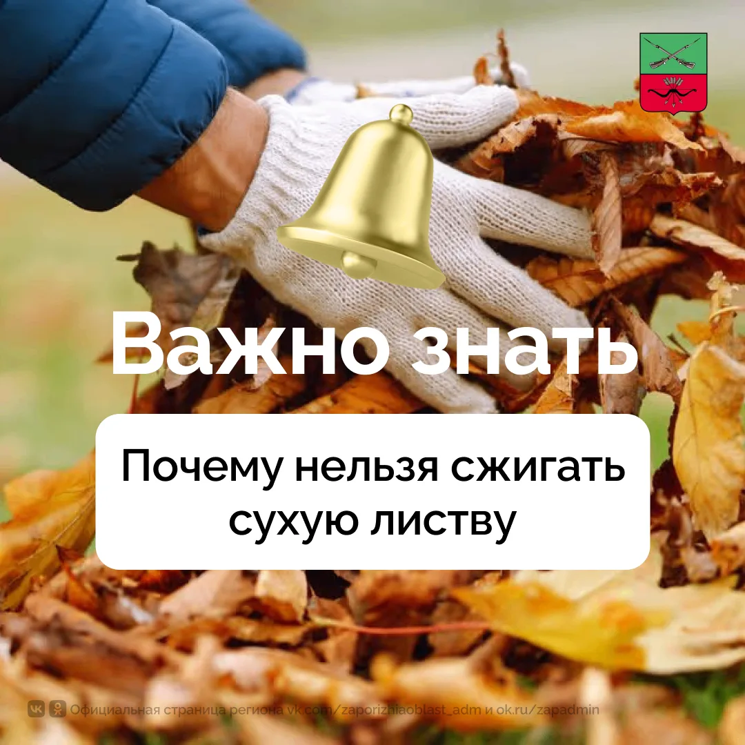 Опасность сжигания сухой листвы