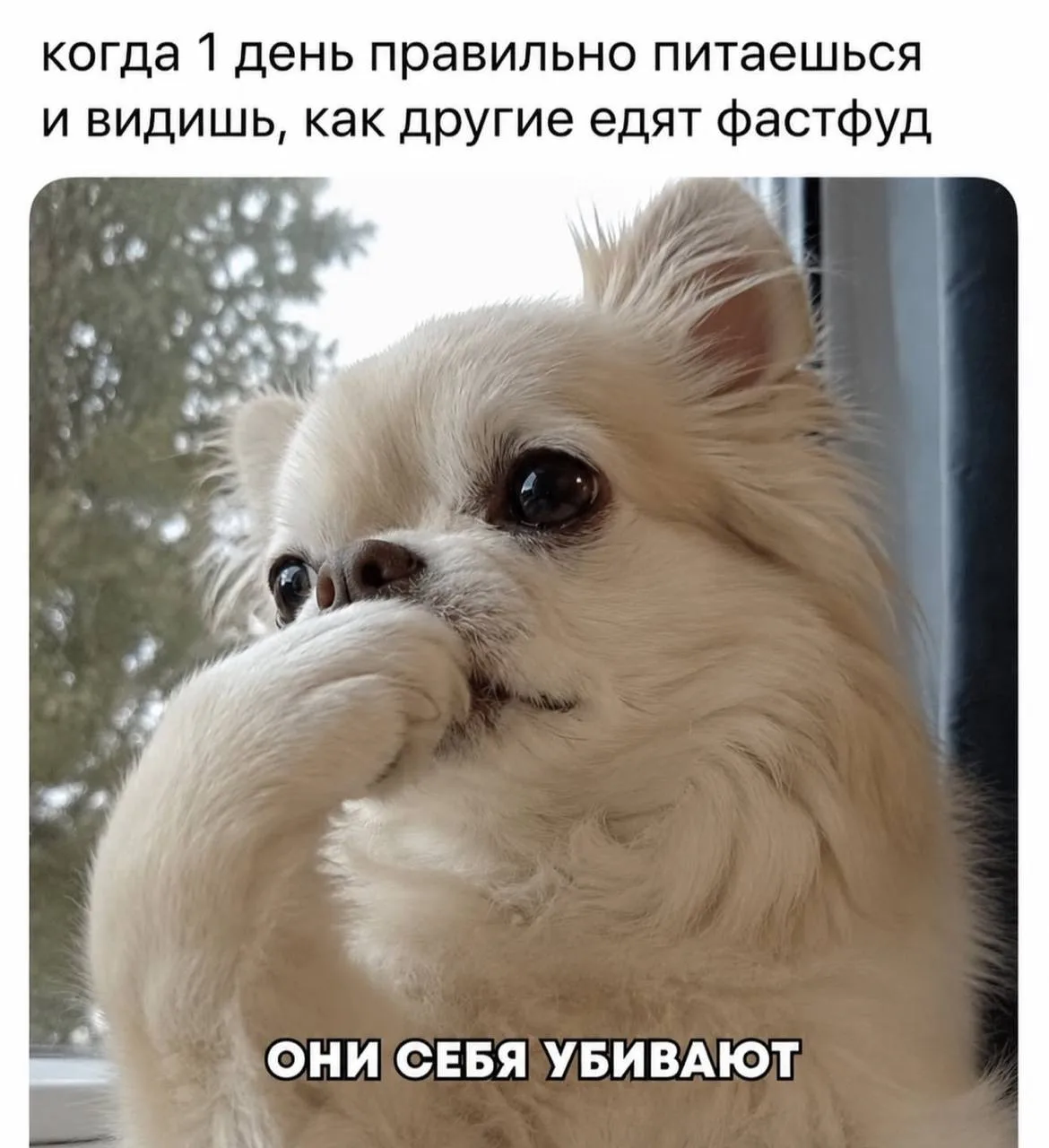 Когда 1 день правильно питаешься 🙄