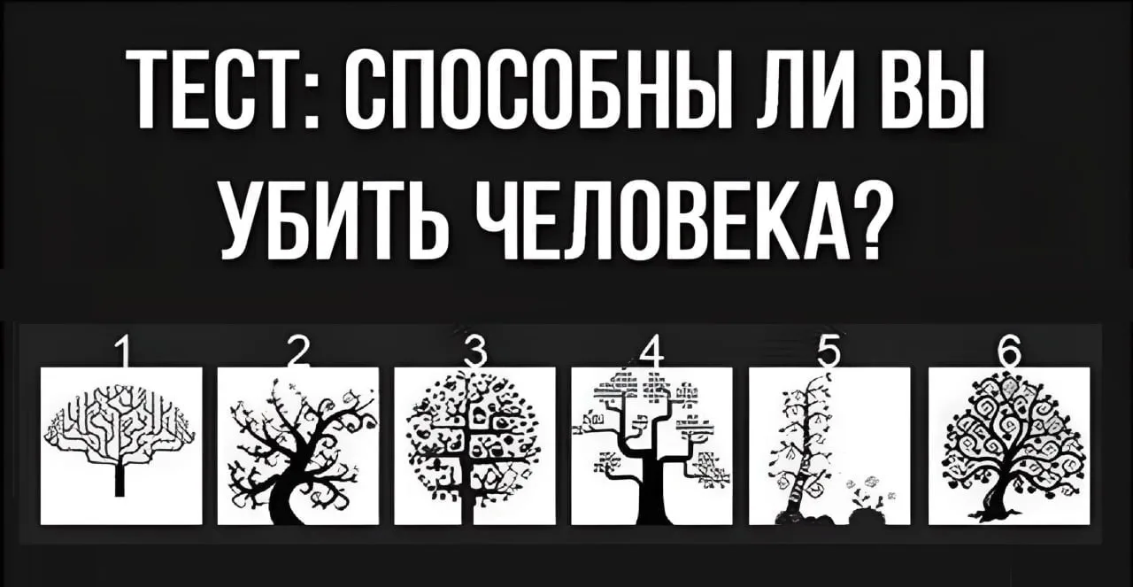 🔞Способны ли вы убить человека?
