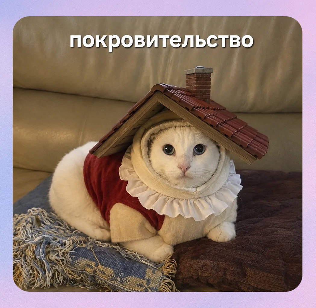 Не перепутайте