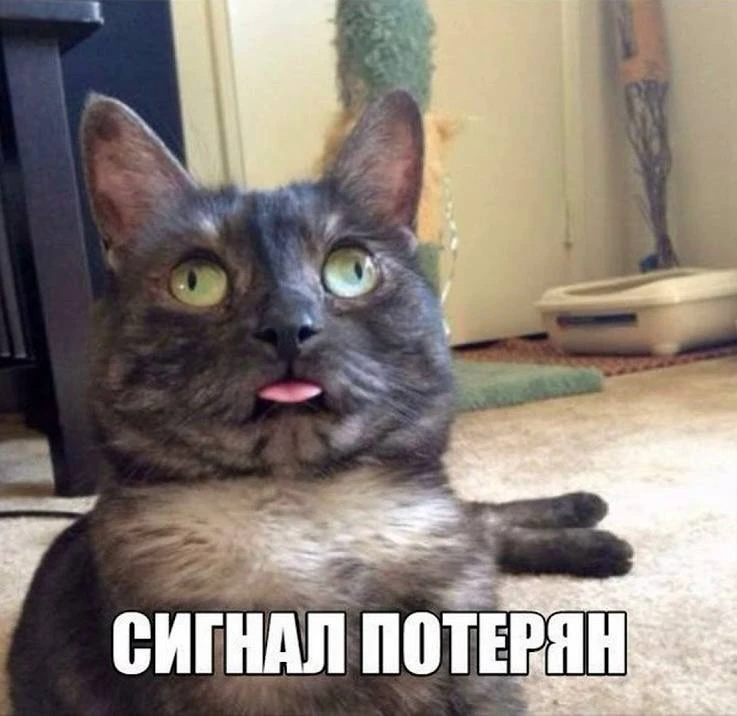 Утречка! Вам тоже показалось, что сентябрь очень быстро пошел?