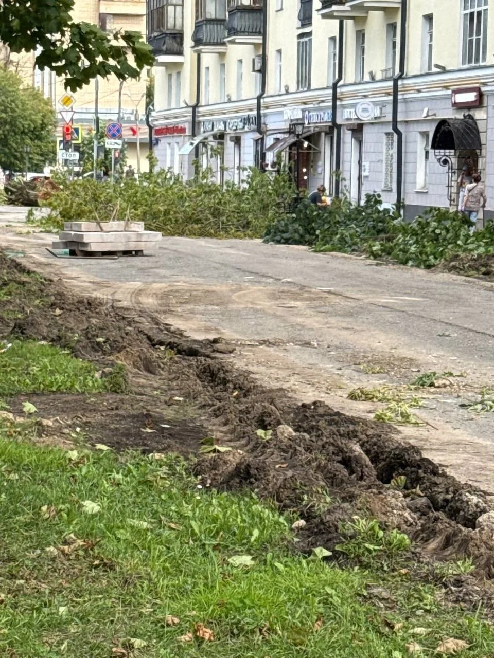 Вырезали ВСЕ деревья вдоль Ленина! 🌳😡 
 
Вдоль проспекта Ленина от стадиона Метеор до остановки МФ