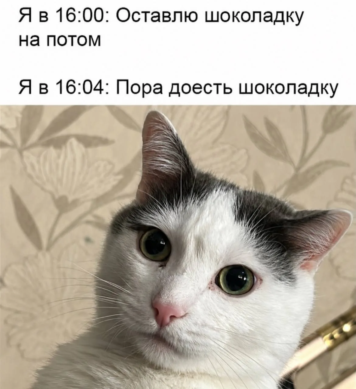 Муд