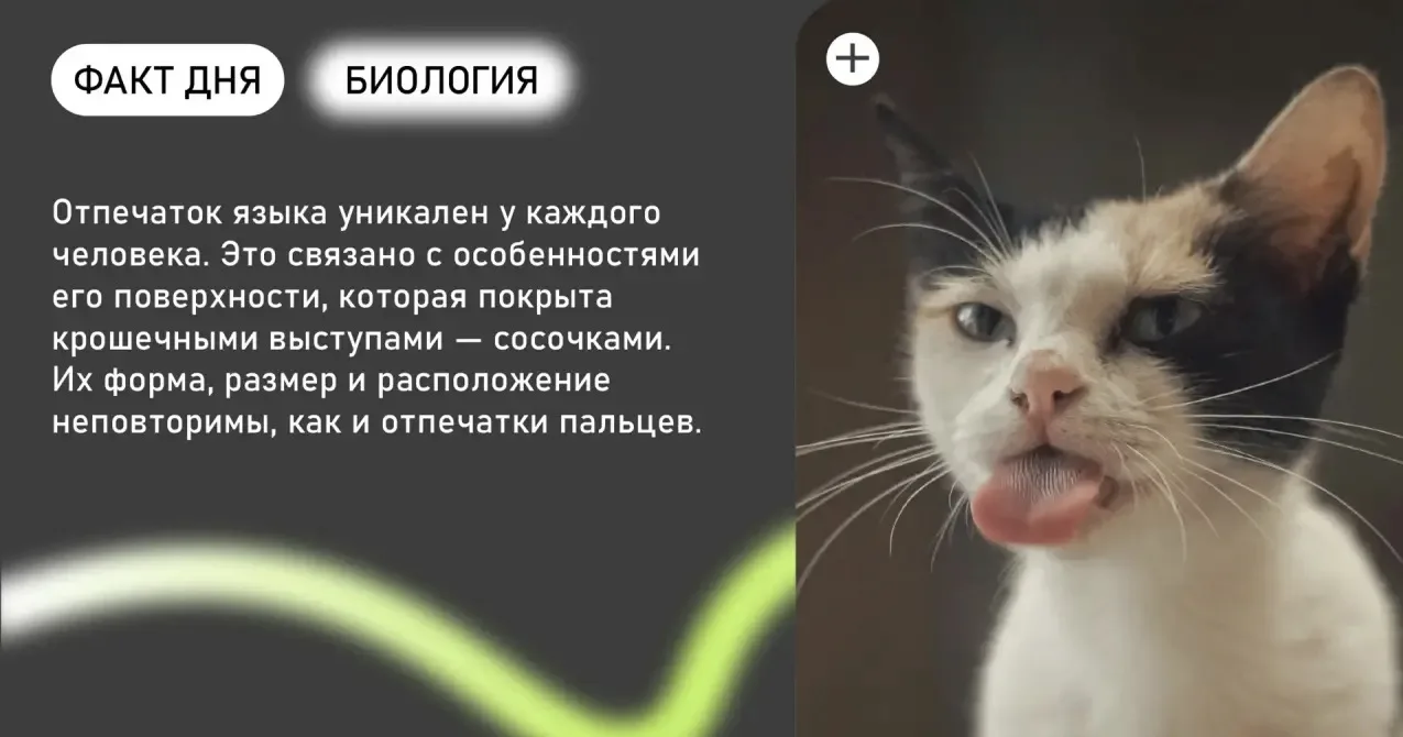 Знали? 

👍🏻 - да
🙄 - нет