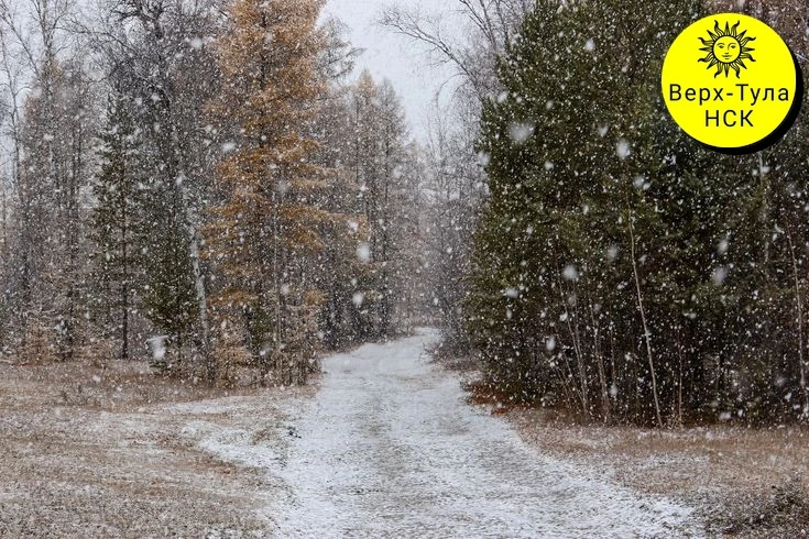 В Новосибирской области ожидается мокрый снег и сильный ветер ❄️ 🌧️