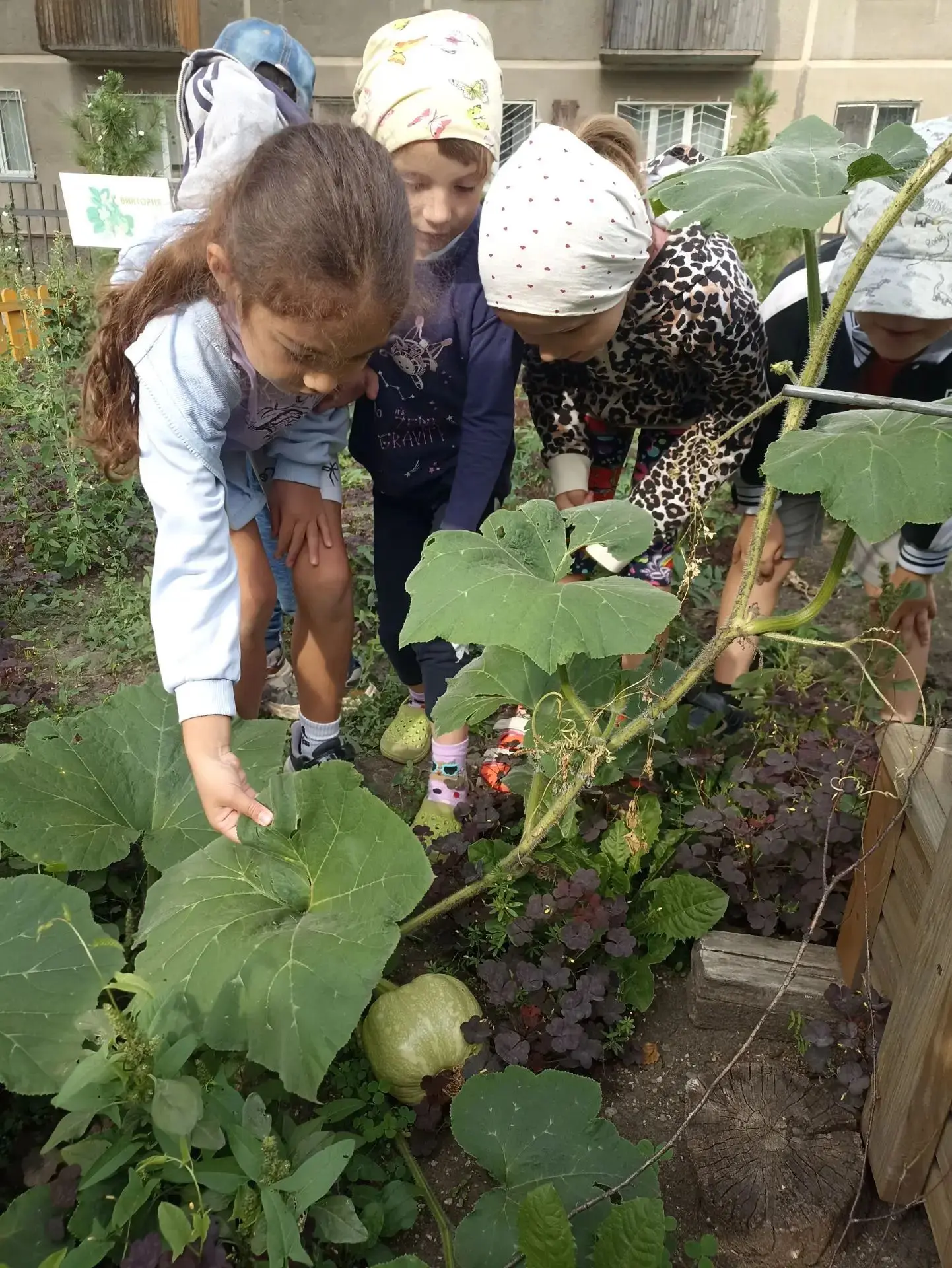 🥒🧅Урожайные дела🌻🐣🐣❤️