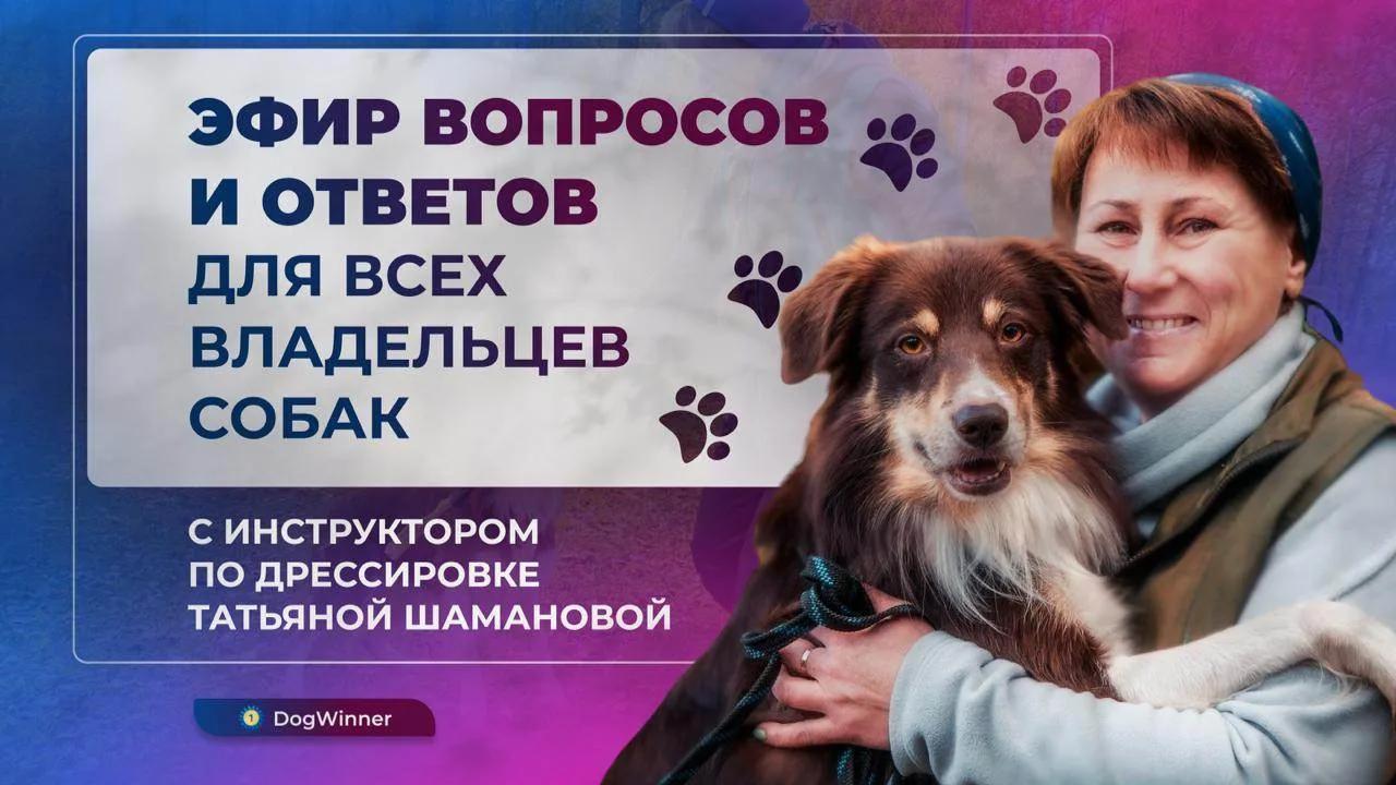 Вчера провели эфир вопросов и ответов для всех подписчиков. Спасибо всем, кто нашел возможность удел