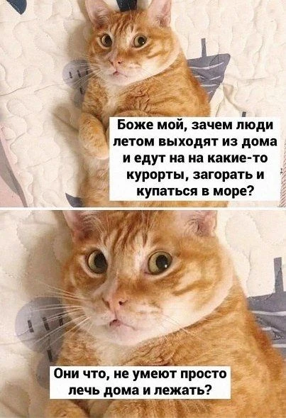 ,0