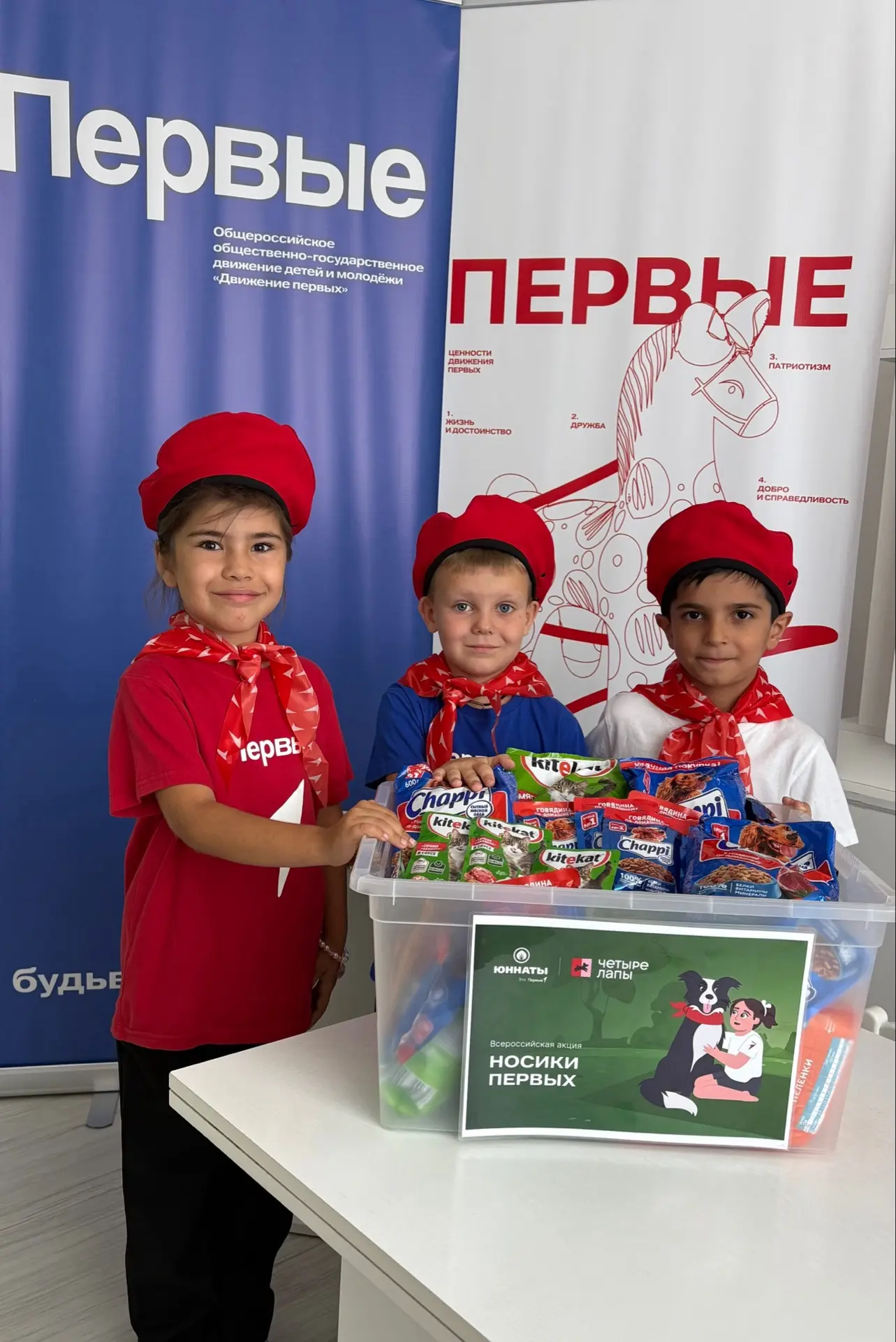 Медиа публикации