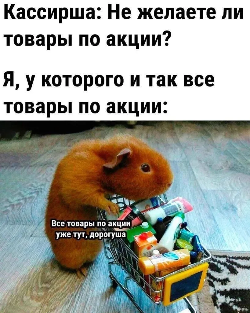 Говорят, деньги любят тишину. Но Катя считает, что они любят учет – и я с ней согласна. 

Наткнулась