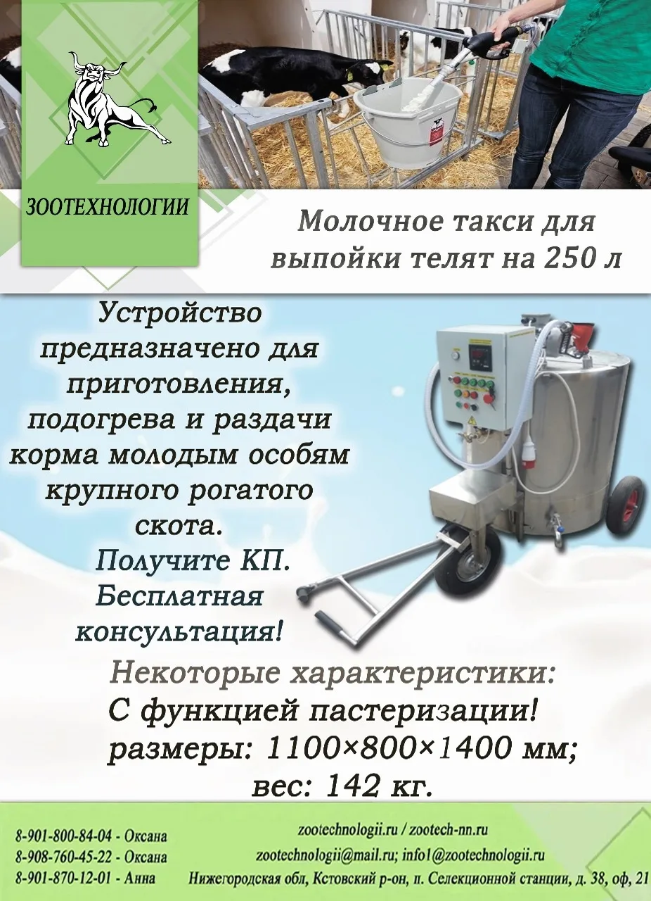 🍼 Молочное такси 250 л: пастеризация + подогрев + раздача корма для 50 телят за раз