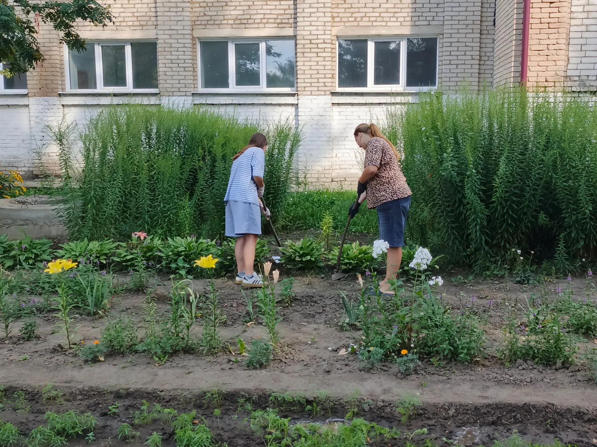 🌿 Летняя трудовая практика в нашей школе продолжается!
Ребята с увлечением ухаживают за зелёными на